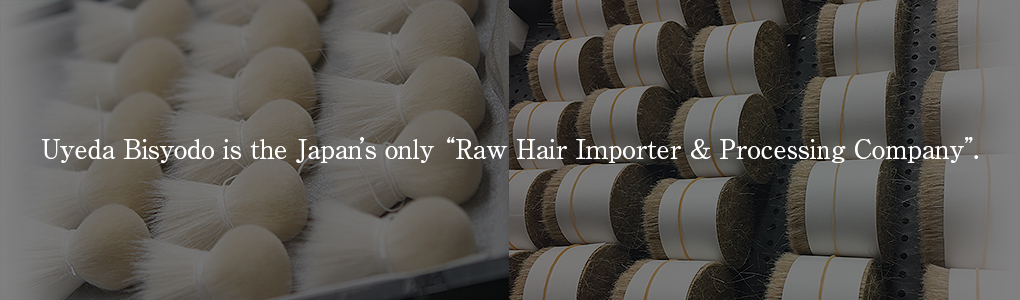 Ueda Bisyodo is the Japan’s only “Raw Hair Importer & Processing Company”.